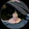 dafz.kece65