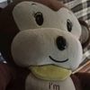 ayualif29