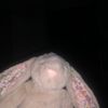 iheartnewyorkcity360