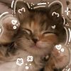 nabila.akila.putr