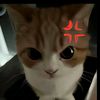 itz_riru