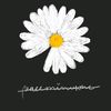 aprilmhrni_