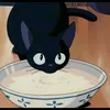 lukiosporai8