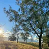 joanalyn61