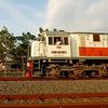railfans_project