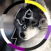 echo_paw6