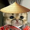 suciramadhanifutr