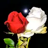 user9072339783268