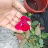 jannatul.jui101