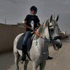 abo_hadi911