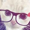 chutiepiee_cutee