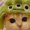 chonchanoksrisom