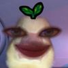 memolll_