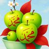 sem.khan.qadri
