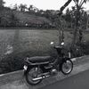 shbbillyan18