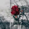 maram.muhamad1