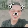levis_al