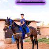 mahmoudmahde330