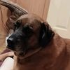 bennyboo491