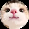 milo_cute48