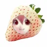 strawberry_tet0