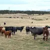 g029544