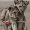 wahab.afridi.3135