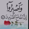 lalle268