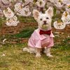travelingmorkie