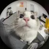 freakygoblin553