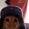 therandomguy635