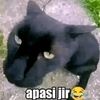 kyy78010