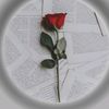 tayyabmughal0057