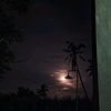 wawan56014