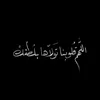 user8641764838