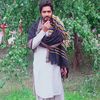faizan.ali.11069