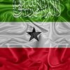 mohamed.halays
