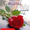 arshadhussain8446
