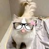 viviemup_