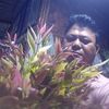hla.aung4558