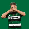 fcmturtle