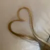 lexisha777