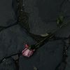 hadeel.ayman781