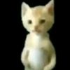 ferv_x4