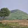 zagros.jamal