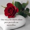 verorosales469