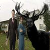 hannibalpookie0u0