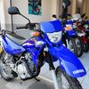 wilian_67346776778