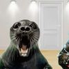 i_heart_seals5