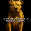 loscaravaneros1